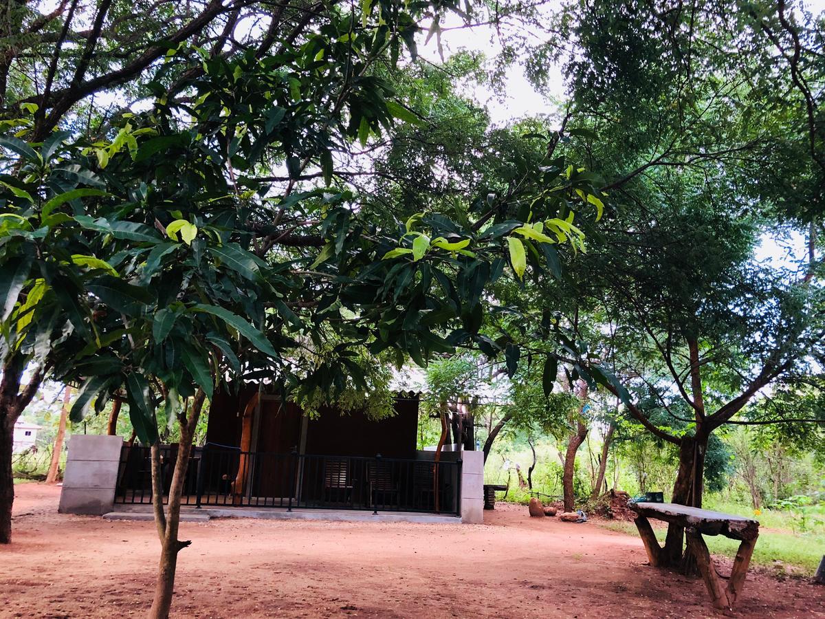 The Summer Corridor - Kataragama Exterior foto